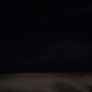 Meet your Posher, Dylan